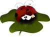 Pretty Ladybug On A Clover Clip Art